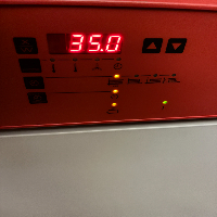 WTC Binder KB-115 incubator image 3